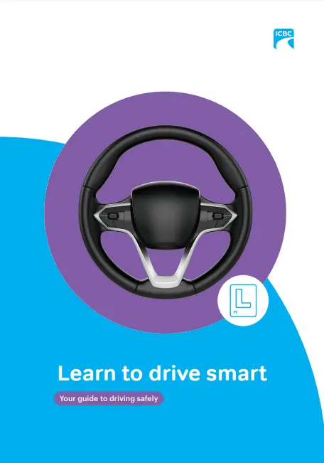 Обкладинка Learn to Drive Smart